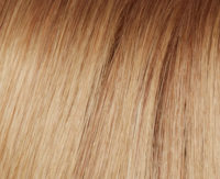 Champagne rooted (14/22+8) Champagne rooted (14/22+8)