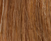 14/26R mittelblond/goldblond 14/26R mittelblond/goldblond