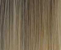 Biscuit balayage Biscuit balayage