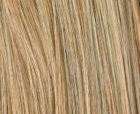 Sandyblonde rooted