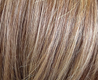 Dark blond rooted (12/14/26+12)