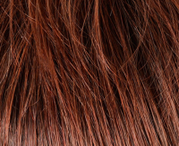Chestnut mix (N130/33-33)