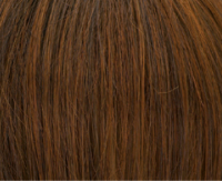 CHESTNUT - 731 CHESTNUT - 731