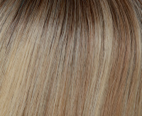 Champagne root Champagne root