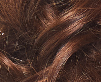 Light chestnut (F330) Light chestnut (F330)