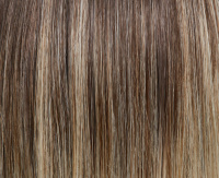 Champagne balayage (14/88+8) Champagne balayage (14/88+8)