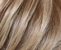 Sandy blond rooted (22/16+14) Sandy blond rooted (22/16+14)