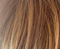 Hazelnut mix (25/14-8) Hazelnut mix (25/14-8)