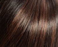 Chocolate hazelnut (27/4-4) Chocolate hazelnut (27/4-4)