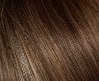 Bernstein rooted Bernstein rooted