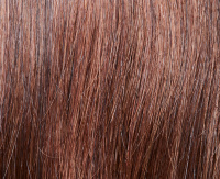 Chestnut mix Chestnut mix