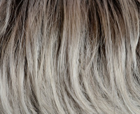 Light grey rooted (56/60+4) Light grey rooted (56/60+4)