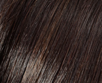 Dark brown (N4/6) Dark brown (N4/6)
