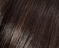 Dark brown (N4/6) Dark brown (N4/6)
