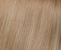 Gold blond mix Gold blond mix