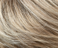 Ash sandy blond rooted (24/20-14+12) Ash sandy blond rooted (24/20-14+12)