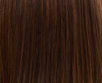 Chestnut mix Chestnut mix