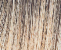 Light blond rooted (L22+4) Light blond rooted (L22+4)