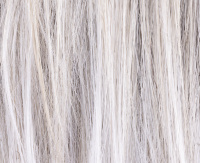Silverblonde rooted Silverblonde rooted