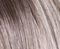 Light blond rooted (23/22+10) Light blond rooted (23/22+10)